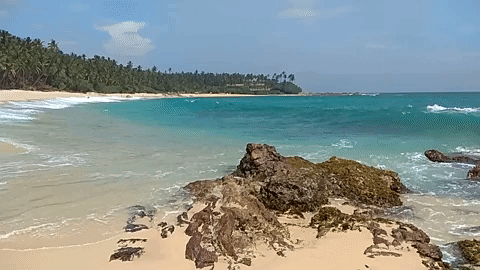 sri lanka tangalle GIF