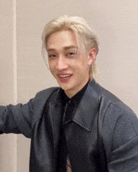 Bang Chan GIF