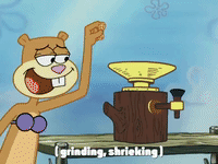 season 4 episode 10 GIF by SpongeBob SquarePants