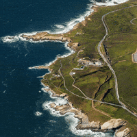 Zoom Enhance GIF by Feliks Tomasz Konczakowski