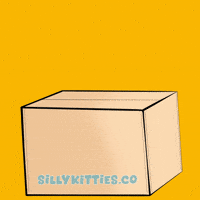 Happy Good Morning GIF by Silly Kitties