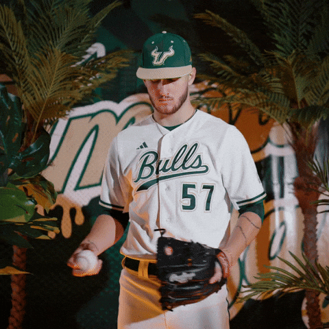 South Florida Baseball GIF by USF Athletics
