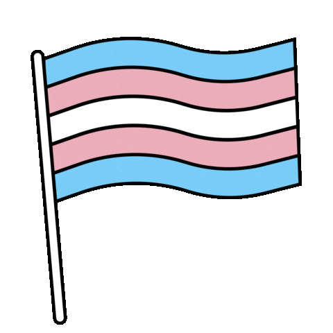 Trans Day Of Visibility Pride Sticker