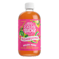 nola kombucha Sticker by Big Easy Bucha