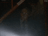 x files GIF by The X-Files
