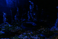 Sadako’s Journey