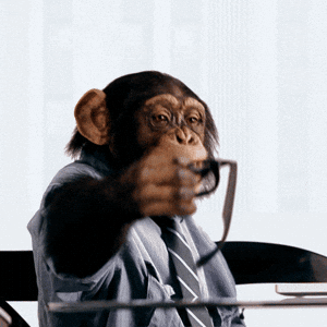 MonkyMedia giphyupload glasses monkey office GIF