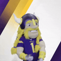nfl vikings GIF by Viktor the Viking
