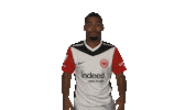 Eintracht Frankfurt Omg Sticker by Bundesliga