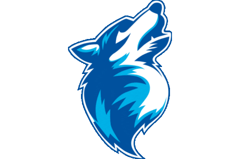 HokejTeplice giphyupload hokej huskies teplice Sticker