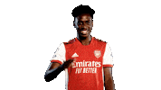 Celebrate Premier League Sticker by Arsenal