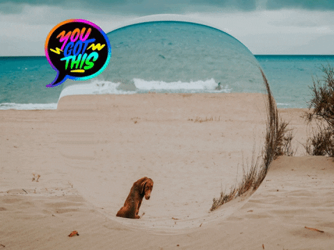 You Can Wow GIF by FranchiseONE.de