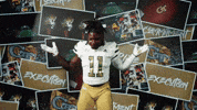 Georgia Tech Football GIF by Georgia Tech Yellow Jackets