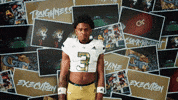 Georgia Tech Football GIF by Georgia Tech Yellow Jackets