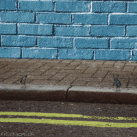 war love GIF by Kiszkiloszki