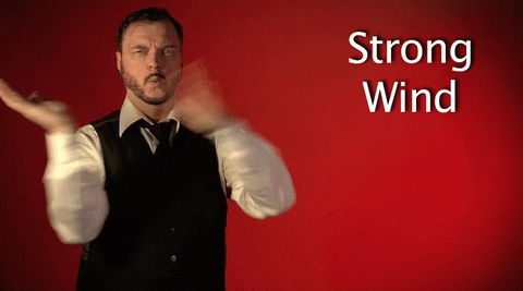 Sign Language Strong Wind GIF by Sign with Robert