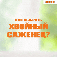 obi_russia  GIF