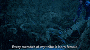 Tv Show Mermaid GIF by Siren
