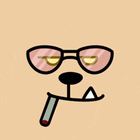 Fire Looking GIF by BigBrains