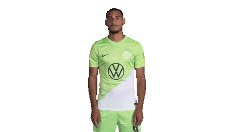 Football Sport Sticker by VfL Wolfsburg