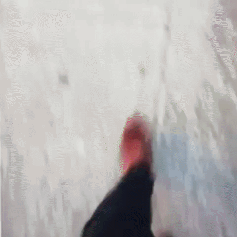 walkthewalk GIF by hazelst