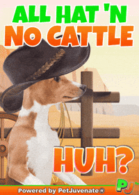 Henlo Hooman Fren GIF by PetJuvenate - PJ