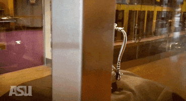 College Football Asu GIF by Arizona State University