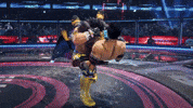 Wwe Wrestling GIF by BANDAI NAMCO