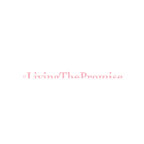 Promise_es giphygifmaker promise promisebrand livingthepromise Sticker