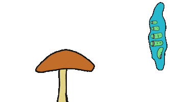 Mushrooms Sticker