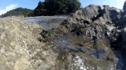 Film Water GIF