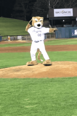 swag dancing GIF by Kane County Cougars