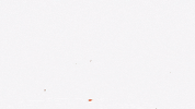 Westerman GIF by Partisan Records
