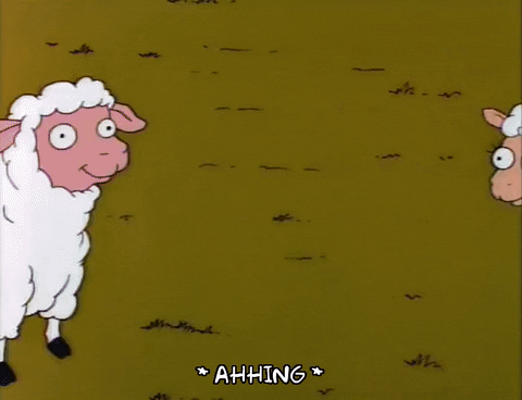 season 7 sheep GIF