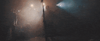around the world and back concert GIF by State Champs