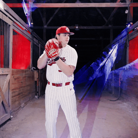 Home Run Celebration GIF by Gamecock Athletics