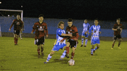 Football Soccer GIF by Arandina CF