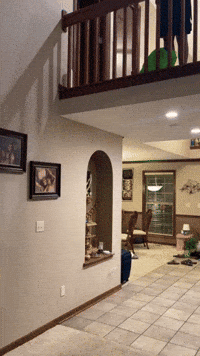Haslett GIF