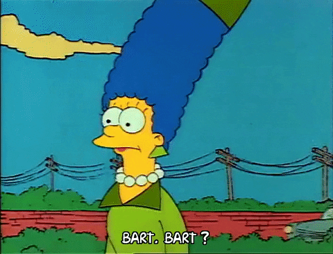 Season 1 GIF by The Simpsons