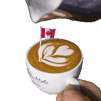 Canadian Sticker by Dritan Alsela Coffee