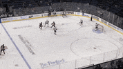 Hockey GIF by Ontario Reign