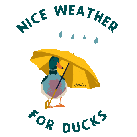 Rain Raining Sticker by Joules