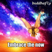 Sunset Love GIF by BuddhaFlyJourney