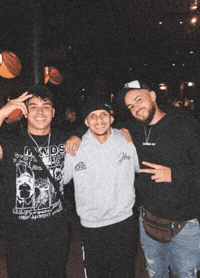 Teamgringo GIF