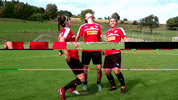 shaking national team GIF