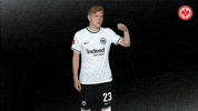 Search Suche GIF by Eintracht Frankfurt