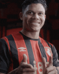 Premier League Love GIF by AFC Bournemouth