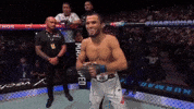 Ufc Mma GIF