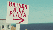 Palibex summer beach verano playa GIF