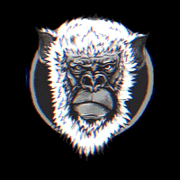 primaat monkey primaat primaatband coloredmonkeys GIF
